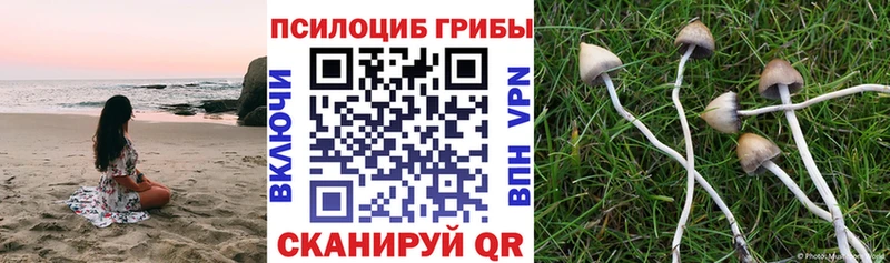 Псилоцибиновые грибы MAGIC MUSHROOMS  Лангепас 